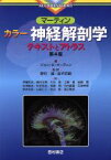 【中古】 マーティン　カラー神経解剖学　テキストとアトラス　第4版／ジョン・H．マーティン(著者),伊藤和夫(訳者),野村嶬,金子武嗣