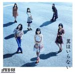 【中古】 翼はいらない（Type　C）（通常盤）（DVD付）／AKB48