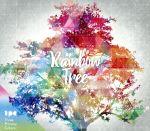 【中古】 Rainbow　Tree／Three　Primary　Colors,Hiroyuki　“PiRO”　Nakayama（ds）,村田エミ（key、b）,山城徹（g）,Hiro－a－key,永田雄樹（b）,元晴（sax）