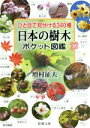 【中古】 ひと目で見分ける340種日本の樹木ポケット図鑑 新潮文庫/増村征夫(著者)