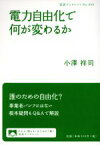 【中古】 電力自由化で何が変わるか 岩波ブックレット949／小澤祥司(著者)