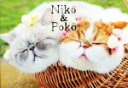 【中古】 Niko&Poko/Maki(著者)