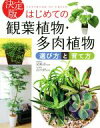 【中古】 決定版 はじめての観葉植物・多肉植物 選び方と育て方/尾崎章,長田研