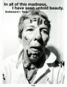 【中古】 写真集 In all of this madness,I have seen untold beauty./エドワード・r.ヨーク