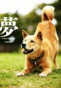 【中古】 夢 YUMENOSUKE/佐藤美由紀(著者)(3)