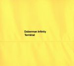 【中古】 TERMINAL（初回限定盤）（2DVD付）／DOBERMAN INFINITY