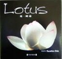 【中古】 Lotus 蓮・睡蓮 蓮・睡蓮 photo/大出一博