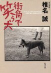 【中古】 街角で笑う犬 新潮文庫／椎名誠