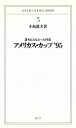 【中古】 アメリカス・カップ’95 誰も伝えなかった内幕／小島敦夫(著者)