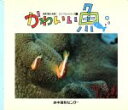 【中古】 かわいい魚 地球の藍よ永遠に ミニ・フォトシリーズ1/舘石昭(著者)