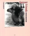 【中古】 Forever Friends Blue star books1/J・ドライスデイル(著者)