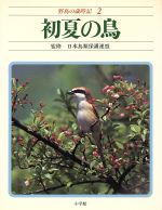 【中古】 初夏の鳥／日本鳥類保護連盟(著者)