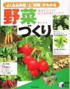 【中古】 「よくある失敗」と「対策」がわかる野菜づくり 実用BEST BOOKS/藤田智(著者)