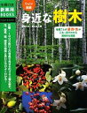  ワイド図鑑　身近な樹木 主婦の友新実用BOOKS／菱山忠三郎