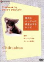 【中古】 愛犬とハッピーに長生きするレシピ チワワ/(趣味/教養)