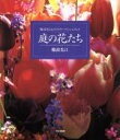 難波光江(著者)販売会社/発売会社：文化出版局/ 発売年月日：1995/03/19JAN：9784579204960