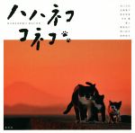 【中古】 写真集　ハハネココネコ NORANEKO　BLUES／池口正和,岩崎愛子,河井蓬,蔵人,岡本佳音