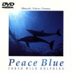 【中古】 Peace　Blue／中野裕之