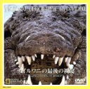 【中古】 ナショナル・ジオグラフィック ナイルワニの最後の祝宴/(ドキュメンタリー)