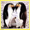 【中古】 ナショナル・ジオグラフィック 小さな南極探検家/(ドキュメンタリー)