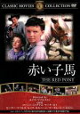 【中古】 赤い子馬/映画・ドラマ