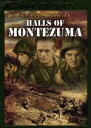 【中古】 地獄の戦場/ルイス・マイルストン(監督),マイケル・ブランクフォート(脚本),ロバート・バッスラー(制作),ソル・キャプラン(音楽),リチャード・ウィ...