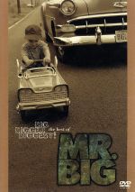 MR．BIG販売会社/発売会社：（株）ワーナーミュージック・ジャパン(（株）ワーナーミュージック・ジャパン)発売年月日：2002/11/01JAN：4988029960610