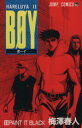 【中古】 BOY(13) Hareluya II-Paint it black ジャンプC/梅澤春人(著者)