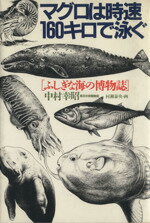 【中古】 マグロは時速160キロで泳ぐ ふしぎな海の博物誌／中村幸昭【著】