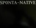 yÁz SPONTA]NATIVE A[eBXg̑̓ɗ鎩Ƃh[p~BWAŕ\^|pE|\EG^EA[g