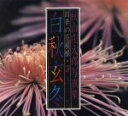 【中古】 白秋玄冬 秋山庄太郎写真集四季の花模様3/秋山庄太郎【著】