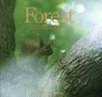 【中古】 Forest CREATURES　OF　THE　WILD 青菁社フォトグラフィックシリーズ／岡本洋典