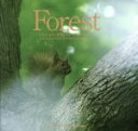 yÁz Forest CREATURES@OF@THE@WILD ŎЃtHgOtBbNV[Y^{mT