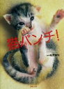 【中古】 猫パンチ! /板東寛司 【中古】afb