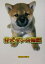 【中古】 仔犬ダンの物語/もとしたいづみ(著者),加藤義一 110円