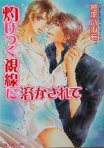 【中古】 灼けつく視線に溶かされて 角川ルビー文庫／柊平ハルモ(著者)