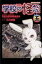 【中古】 学校の怪談(5) ブンブンC/小川京美(著者) 165円