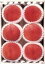 【中古】 花嫁は厄年ッ! DVD-BOX/篠原涼子,矢部浩之 3,740円