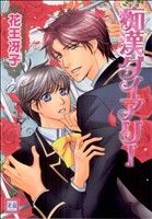【中古】 痴漢ダイアリー 花音C／花王冴子(著者)