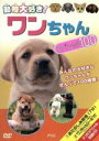 【中古】 動物大好き!ワンちゃんスペシャル100/(趣味/教養)