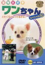 【中古】 ワンちゃんスペシャル50／（動物）