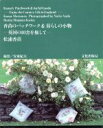 松浦香苗(著者),安東紀夫販売会社/発売会社：文化出版局発売年月日：1991/12/15JAN：9784579105335