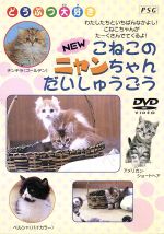 【中古】 こねこのニャンちゃん大集合／（動物）