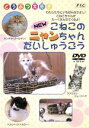 【中古】 こねこのニャンちゃん大集合／（動物） 【中古】afb