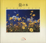 南風椎(著者)販売会社/発売会社：PARCO出版/ 発売年月日：1995/10/16JAN：9784891944438