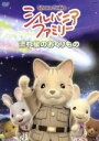 【中古】 シルバニアファミリー~流れ星のおくりもの~/小高宏子(ストーリー原案),川上とも子(みるくうさぎちゃん),長谷川明子(くるみリスちゃん),宮田幸季(マロンいぬくん)