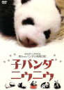 【中古】 子パンダ ニウニウ/(ドキュメンタリー)