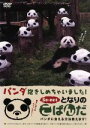 【中古】 となりのこぱんだ パンダ抱きしめちゃいました〜パンダに会える方法教えます〜/趣味・教養