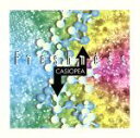  FRESHNESS／CASIOPEA