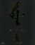 【中古】 牙狼<GARO>〜MAKAISENKI〜vol.4(Blu−ray Disc)/小西遼生,肘井美佳,中村織央,雨宮慶太(原作、総監督、脚本) 1,089円